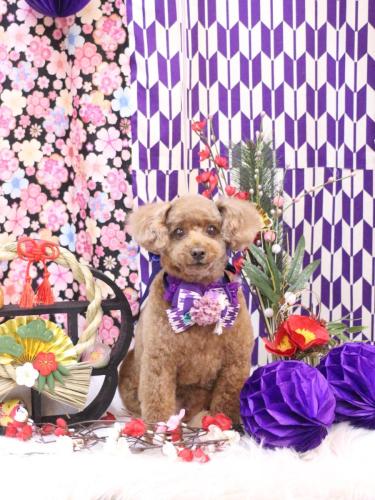 20250119ココアくん